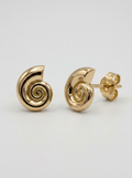 Nautilus Shell Gold Earring - Gold Earring Pair