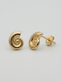 Coastal Nautilus Gold Earring - Gold Earring Pair
