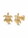Sea Turtle Gold Earring - Gold Earring Pair