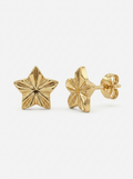 Radiant Star Gold Earring - Gold Earring Pair
