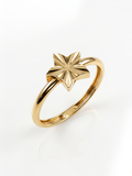 Ribbed Horn Crescent Gold Ring